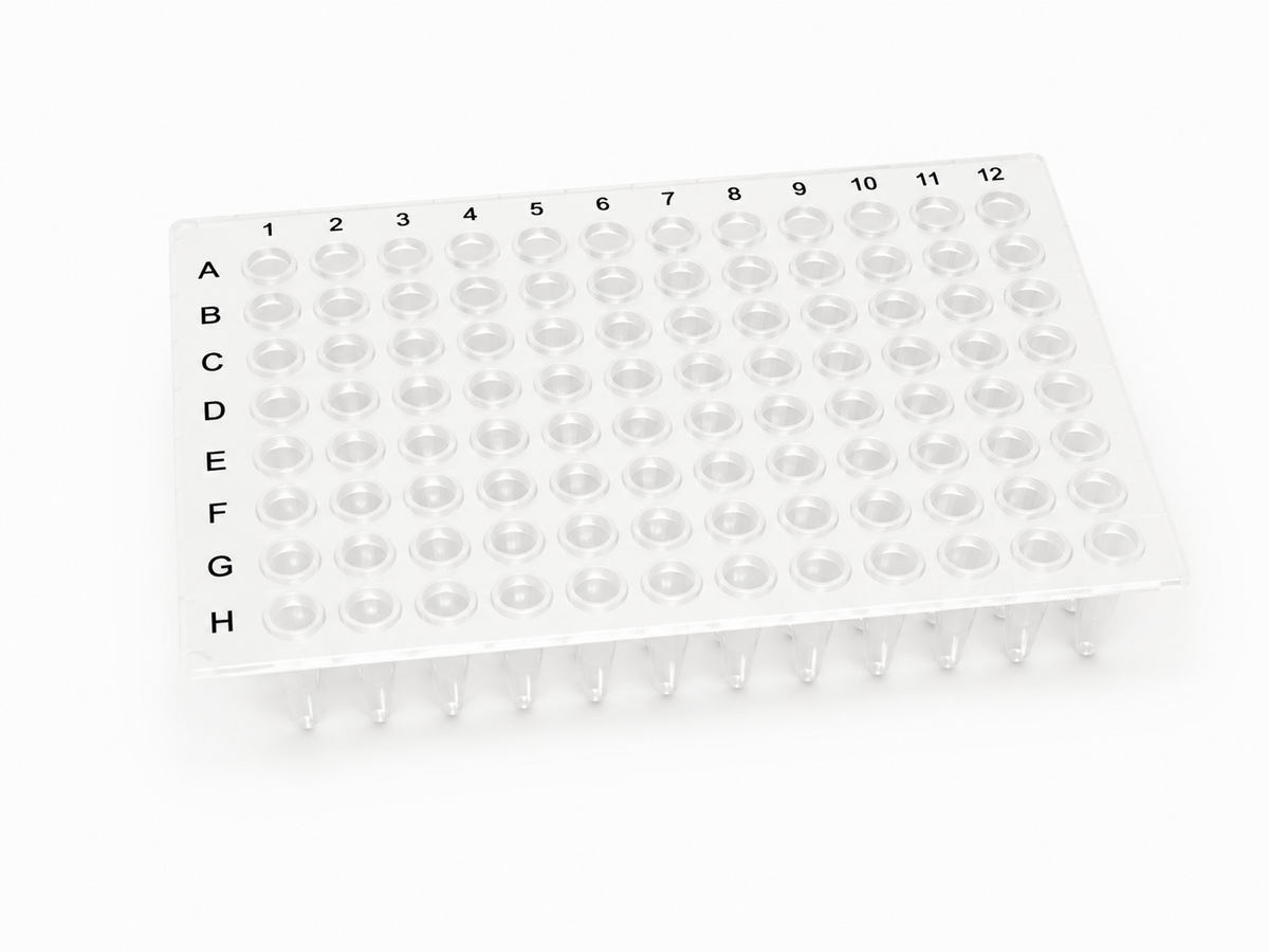 Clear 96-well PCR plate with labeled A–H rows and 1–12 columns, shown on a clean white background.