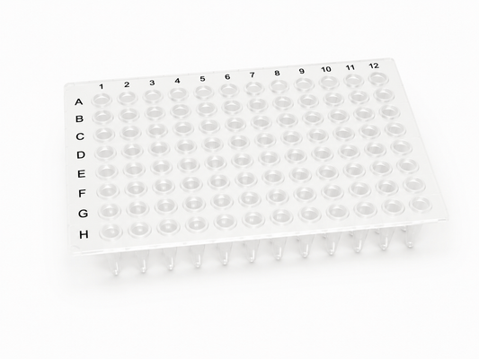 Clear 96-well PCR plate with labeled A–H rows and 1–12 columns, shown on a clean white background.
